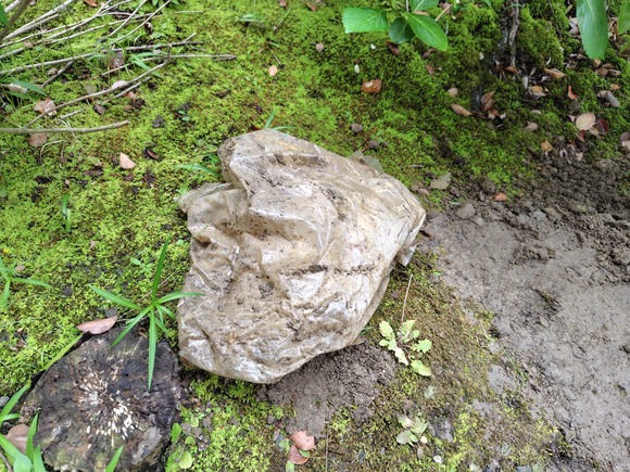 タイムカプセル発見-16