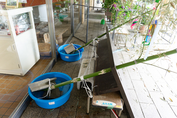 寝屋川公園 20250615-14