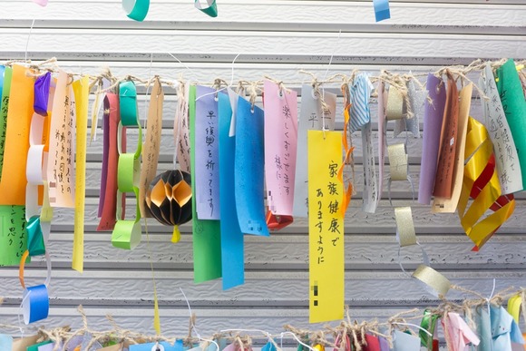 モリワキ 七夕 20240630-2