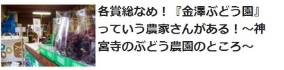 ぶどう関連記事