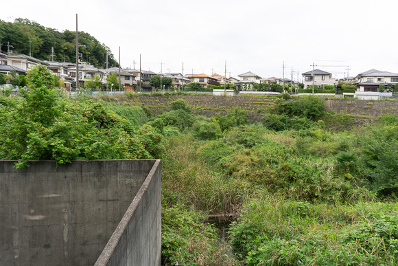 妙見東 20240927-7