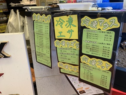 70FE2964-20F1-4EA6-8B5E-E29E4A5D641B_1_105_c