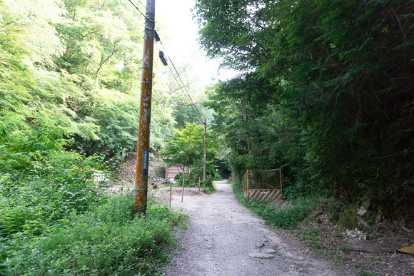 ほしだ園地 ハイキング 2024061630