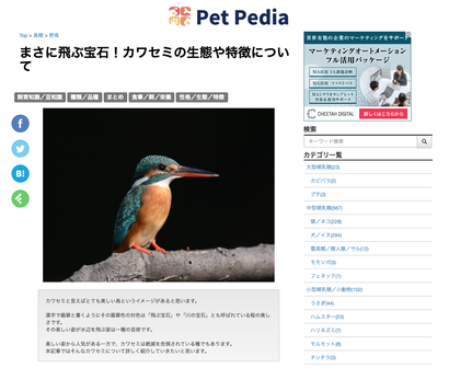 スクリーンショット 2021-02-03 22.44.21