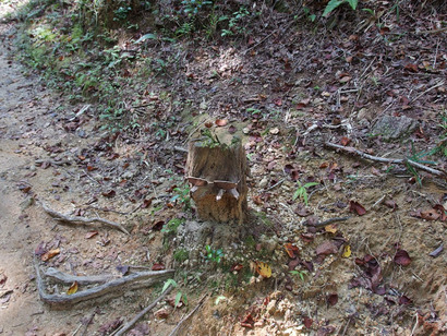P9232358
