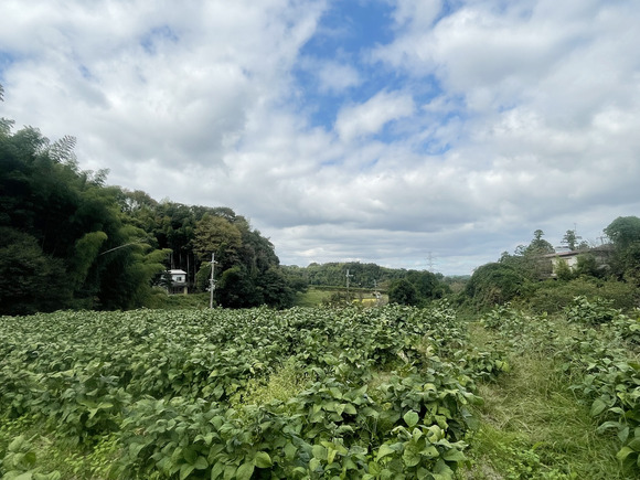 2021-10-06_13-22-21_453