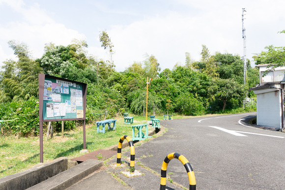 星田山手の階段 2024061111