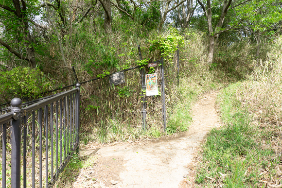 日高山の登山 2024041712