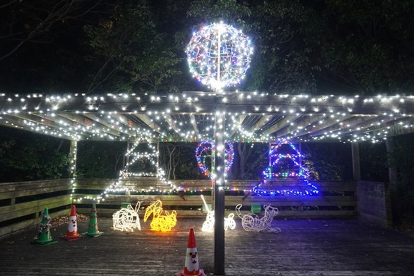 寝屋川公園 2025121219-2
