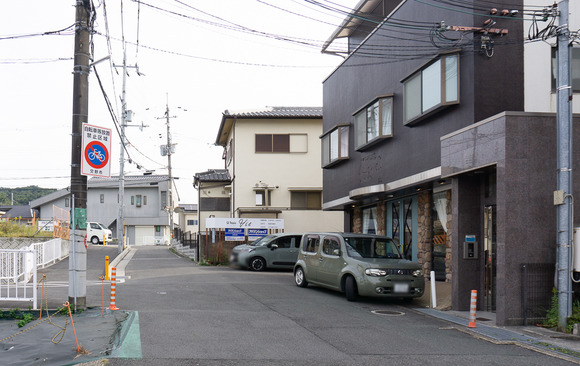 U hair Vie 20241025-5