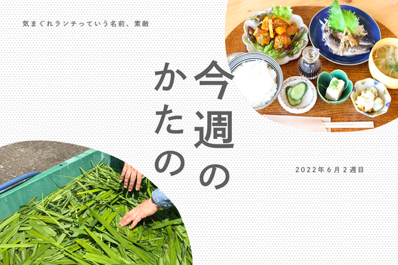 今週のねやがわ2022 (1)のコピー
