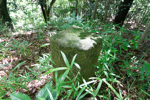 龍王山 2024062199