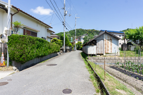 私市の用水路 202405216