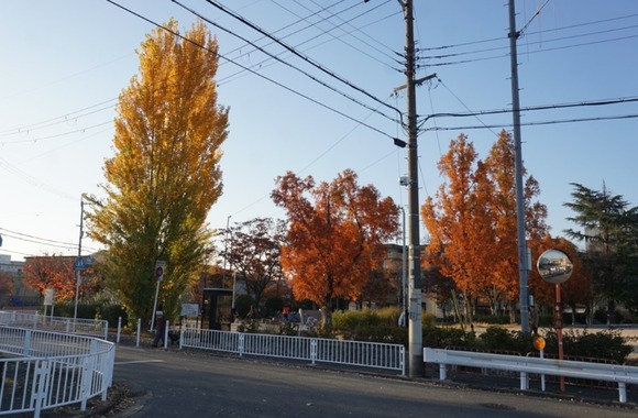 松塚公園 20251130-1