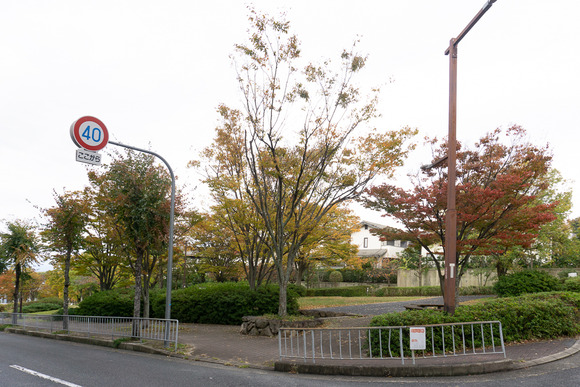 リニアパーク 紅葉 20241110-7