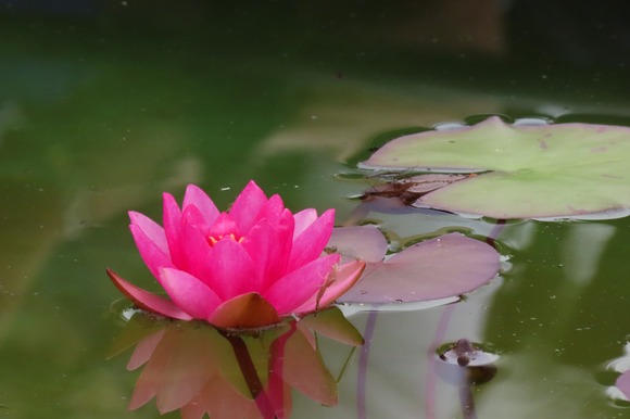 LINE_ALBUM_220616_46