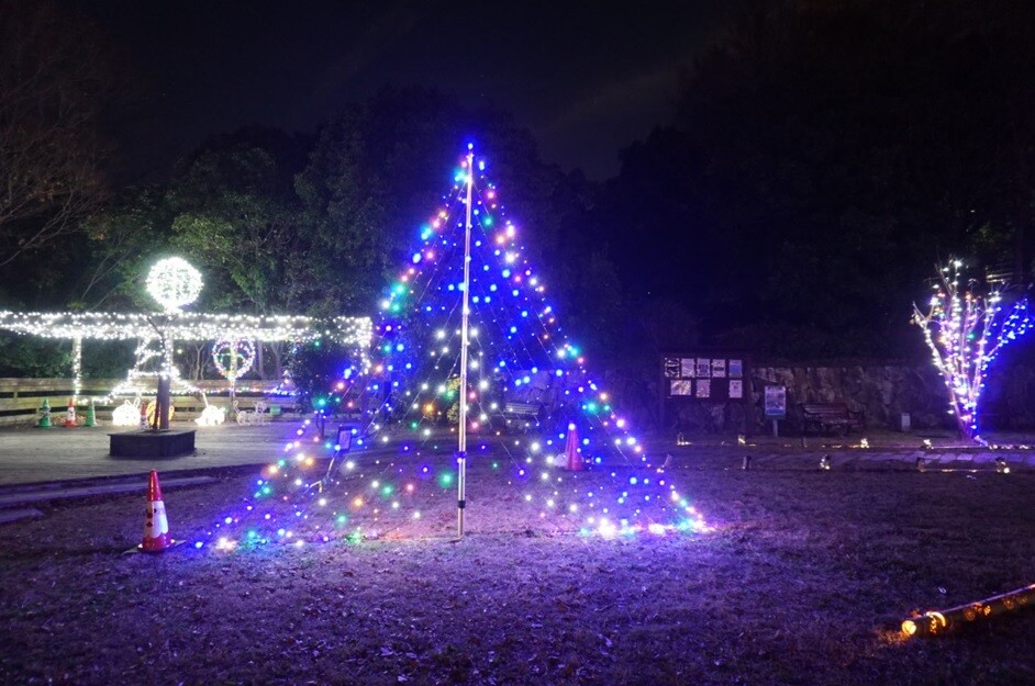 1)　夜のイルミネーション 竹灯籠も！寝屋川公園でイルミネーションが行われてる : 交野タイムズ