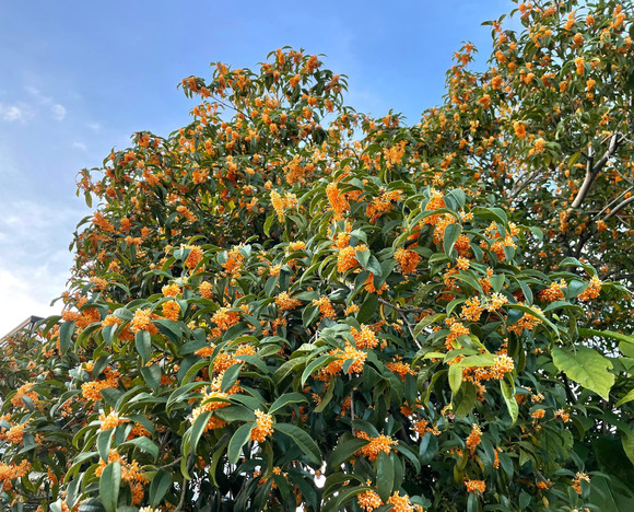 250405679_4539919539432514_8076602159614786062_n