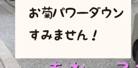 スクリーンショット 2024-03-21 17.44.22