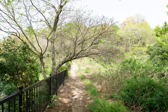 日高山の登山 2024041711