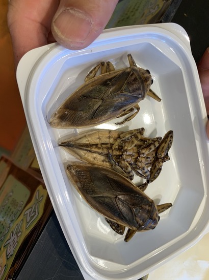 9D8389C6-D76F-4D56-8A42-7326B6FE61DE_1_105_c