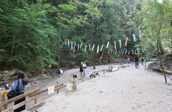 ほしだ園地 20260506-13