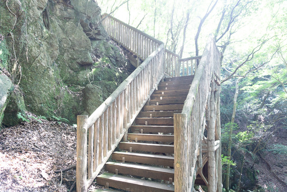 月の輪滝 20240719-50