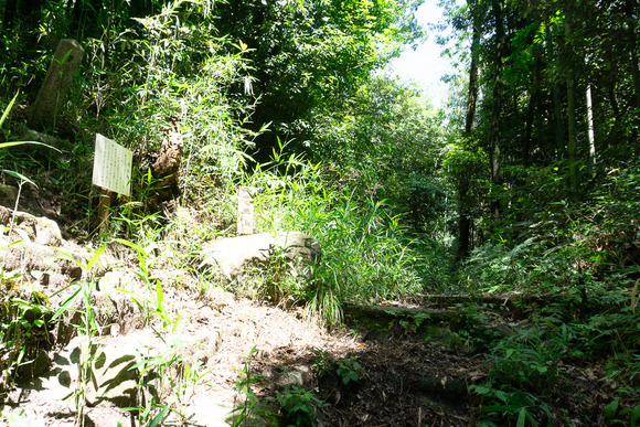 龍王山 2024062168