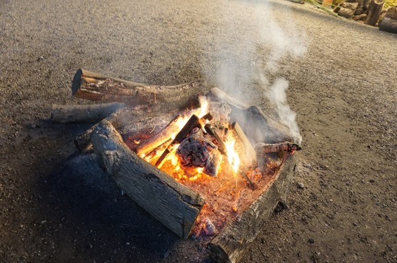 星田神社 20260101-8