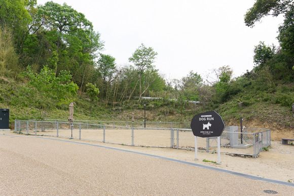 ダムパークいばきた 20250425-38