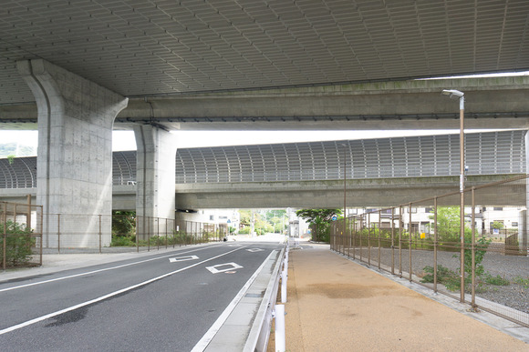 東倉治の黄色い動物 20240929-4