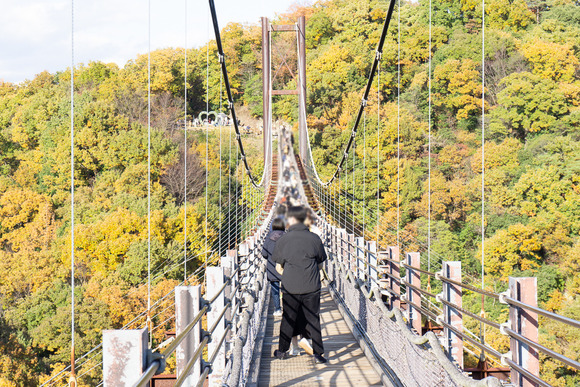 ほしだ園地 紅葉 20241130-36