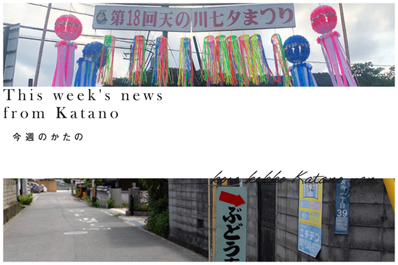 今週のかたの2023