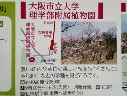 2015-02-18-10-33-37_deco[1]