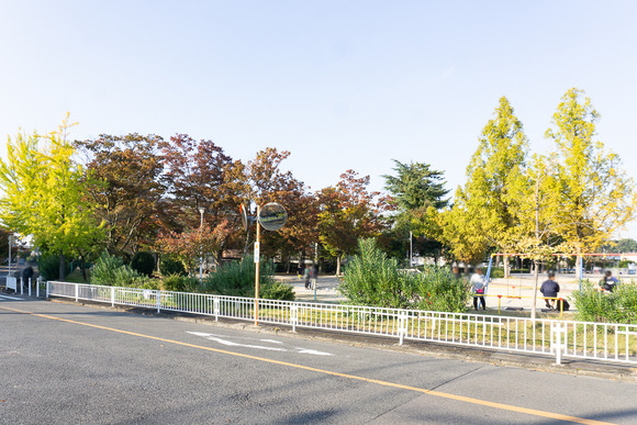 松塚公園 20241114-21