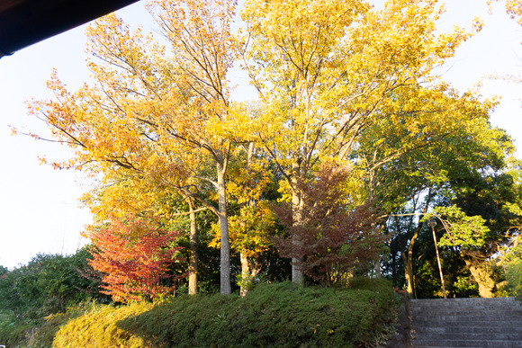 星田公園 20241130-5