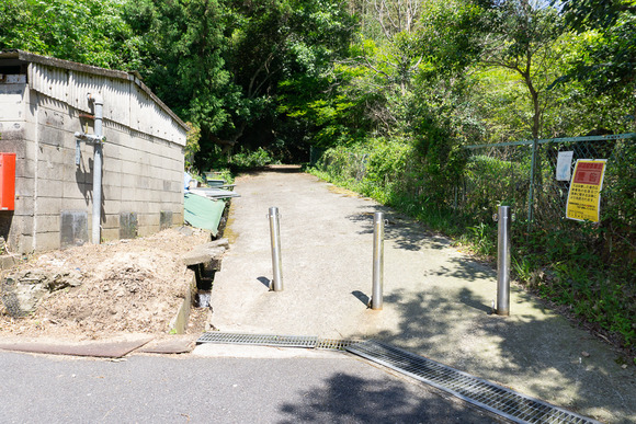私市の用水路 2024052116