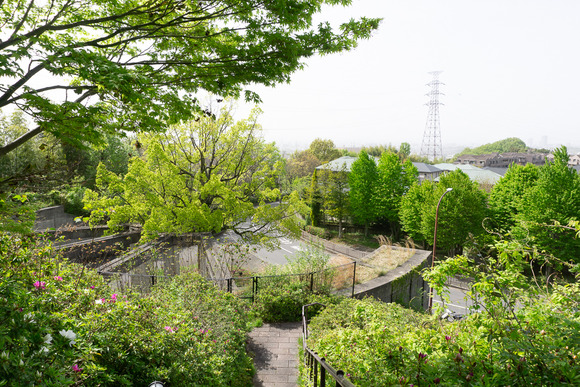日高山の登山 202404172