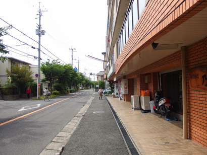 P5243697