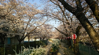 29543319_1802102400086478_7814325705857355569_n