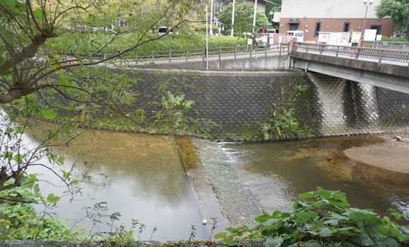 サッカーボール 20241101-1