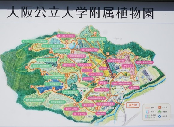 大阪公立大学附属植物園 20251118-9