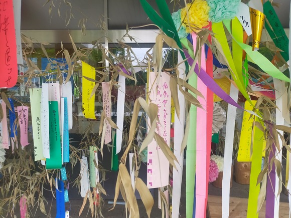 寝屋川公園 七夕 202406254