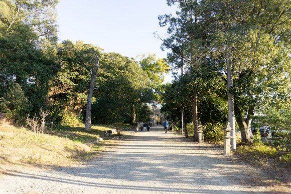 機物神社 初詣 20250101-7