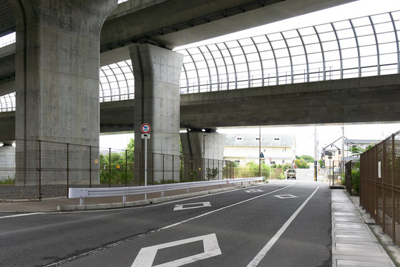 東倉治の黄色い動物 20240929-1