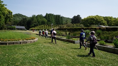 IMG_20150510_133851