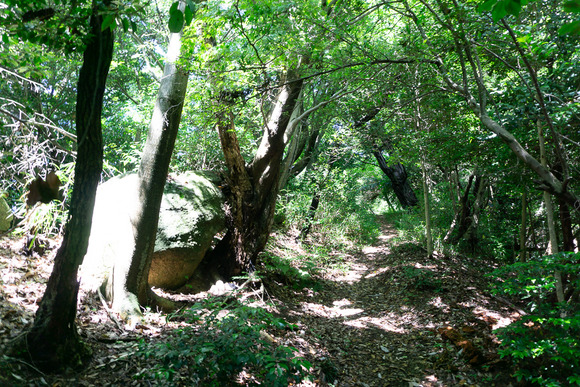 龍王山 2024062192