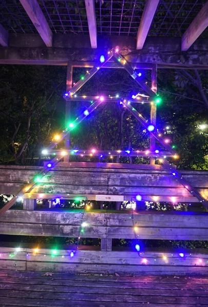 寝屋川公園 20241207-16