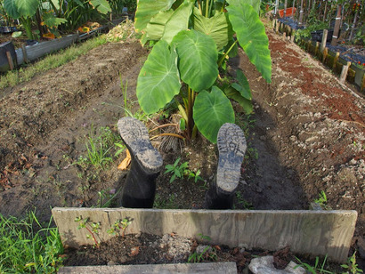 P8151026