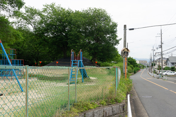 星の森ちびっこ広場 202406248